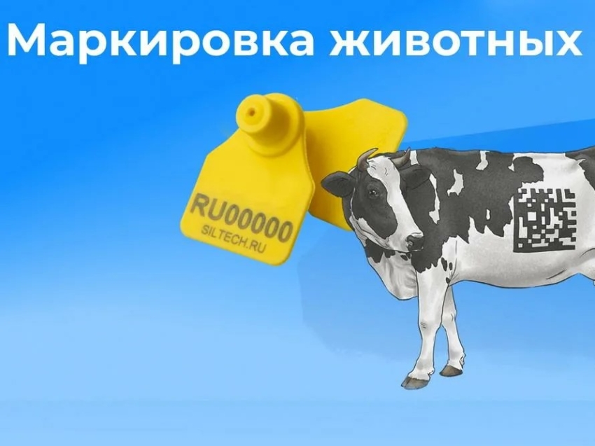Информация для владельцев по учету животных, в том числе домашней птицы